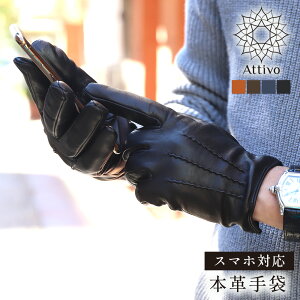 JV~ 100 CjO  Y v U[ v Attivo AbeB[H V[vXL V[g X}[gtHΉ jp S4F/3TCY rv U[O[u gh IV h