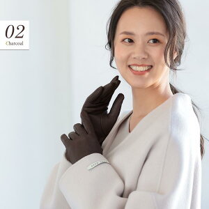 y Gg[sv |Cg10{ z oCN  fB[X t ~ h JV~100 CjO v Attivo AbeB[H V[vXL X}zΉ ꕔJ[̂ p 8F/3TCY 