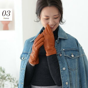 oCN  fB[X t ~ h JV~100 CjO v Attivo(AbeB[H) V[vXL X}zΉ ( ꕔJ[̂ ) p 8F/3TCY rv n JV~100 U[