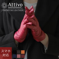 【本日25:59迄限定全品P5倍】革手袋 レディース 手袋 カシミヤ100%ライニング 本革 シープスキン 暖かい …
