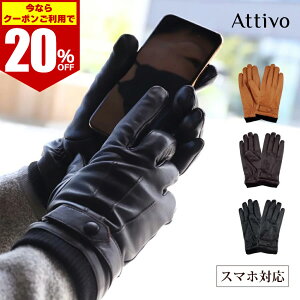 y N[|p20%OFF z  v Y oCN O[u Attivo AbeB[H XL EB^[ U[O[u S3F/3TCY jp rv Y AJ n[[  hC