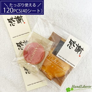 bɂȂ܂ V[ 肪Ƃ V[  120 ސE v`Mtg َq bsO ɂ TL[V[ hV̓ Yx A  G  j  V[ TL