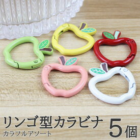【本日終了全商品ポイント5倍！本日0と5の付く日！】リンゴ型カラビナ カラフルアソート 5個セット ワンタッチで簡単 パラコード マクラメ レジン キーホルダー ハンドメイドに 可愛いアクセント雑貨 カラフル金具パーツ 丈夫で軽量 おしゃれなカラーで作品作りに最適