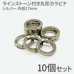 yœyjI܂ƂߔłIzCXg[t ی` Jri Vo[ KC 10  ߋ obO`[  DIY |  ANZT[ޗ N