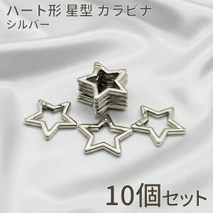 yœyjI܂ƂߔłIzn[g` ^ Jri KC Vo[ 10  ANZT[  i p[c nhCh  Ntg tbN L[z_[