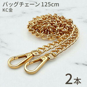 yX[p[Z[IŃ|Cg10{zobO`F[ 125cm KC Vo[ _u`F[ V_[Xgbv Xgbv  `F[  p obOp[c nhC