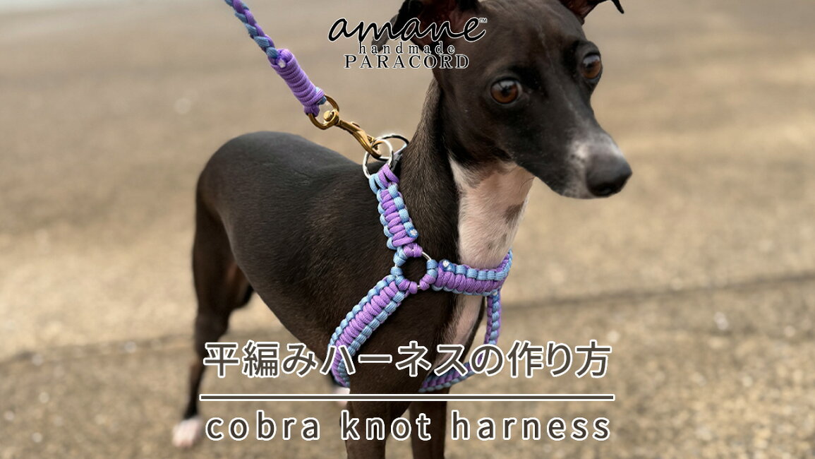 楽天市場 | handmade.amane 手芸用品専門店 - やさしい手触りと強さを 