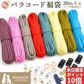【SSラスト！本日限定★全商品P10倍＋パラP5倍】福袋 新色 パラコード 4mm 30m パラシュートコード テントロープ ガイドロープ 手芸 7芯 プレゼント キット ハンドメイド ブレスレット 犬 リード キャンプ用品 セット ひも アウトドア アクセサリーパーツ