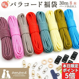 【本日！ポイント5倍！アフターSALE開催中！】福袋 新色 パラコード 4mm 30m パラシュートコード テントロープ ガイドロープ 手芸 7芯 プレゼント キット ハンドメイド ブレスレット 犬 リード キャンプ用品 セット ひも アウトドア アクセサリーパーツ