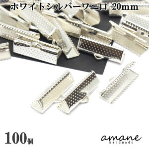 yԌ3_wŃ|Cg10{IN[|zj R~ 20mm RߖX { 100Zbg zCgVo[ jJ ߋ Nbv R nhChp[c