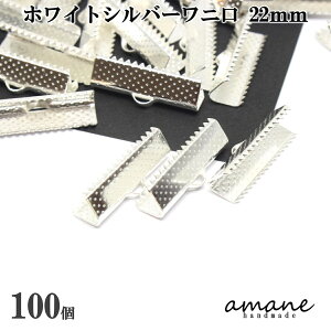 yԌ3_wŃ|Cg10{IN[|zj R~ 22mm RߖX { 100Zbg zCgVo[ jJ ߋ Nbv R nhChp[c