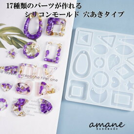 【アフターセール開催！ポイントがお得に貯まる♪】シリコンモールド シリコン型 レジン 穴あきタイプ 17種 アクセサリーパーツ ピアス イヤリング ハンドメイド 材料