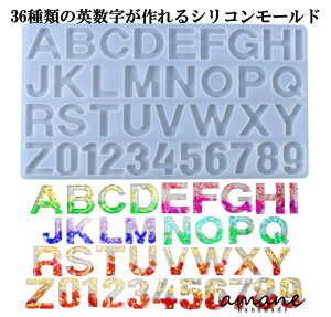 y17܂ł}\I܂Ƃ߃N[|IzVR[h VR^ W p^Cv 36 ANZT[p[c sAX CO nhCh ޗ