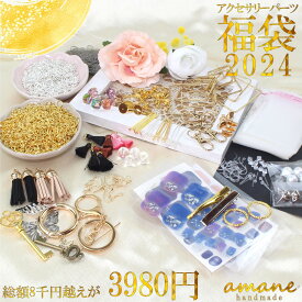 【送料無料で土日祝も毎日発送！まとめ買いがお得です！】福袋 アクセサリーパーツ セット ハンドメイドパーツ 大容量 ピアス イヤリング チャーム 手芸用品 材料 丸カン 丸かん
