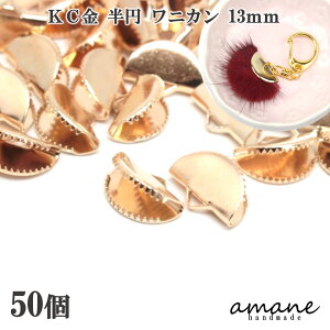 yԌ3_wŃ|Cg10{IN[|zj jJ  13mm ~ ` R~ { 50Zbg KC ߋ R ANZT[p[c   ≮ Zbg