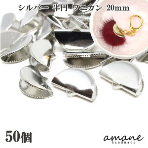 yXSi5ItI{ڊӃf[|Cg4{Izj jJ  20mm ~ ` R~ { 50Zbg Vo[ ߋ R ANZT[p[c   ≮ Zbg