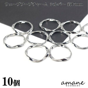 y5Si|Cg10{ł10{zEF[u t[v `[ Vo[ 10 ANZT[p[c nhChޗ sAX f