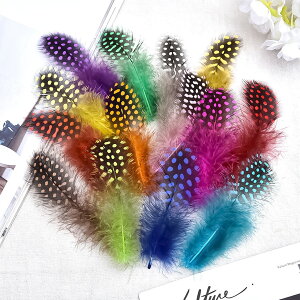 H tFU[ ANZT[p[c nhCh VRf ̉H H W Ntg | ޗ zz`E p[c ANZT[ sAX CO fR[V  i` J