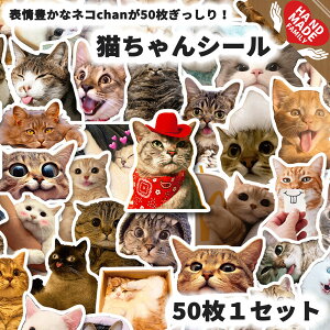 �L �˂� �V�[�� �X�e�b�J�[ 50�� �Z�b�g ���킢�� �R�X�v�� �L�� �h�� �f�R �X�}�z �蒠 �m�[�g �p�\�R�� �X�[�c�P�[�X �v���[���g �L�D�� �L�� �˂��� �˂������ �O�b�Y 50�� �Z�b�g �R���[�W