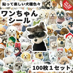 �� �V�[�� �X�e�b�J�[ 100�� �Z�b�g ���� ���낢�� �R�X�v�� ���킢�� �h�� �f�R �X�}�z �蒠 �m�[�g �p�\�R�� �X�[�c�P�[�X ���b�s���O �q�� �L�b�Y �v���[���g ���D�� �O�b�Y 50�� �Z�b�g �R