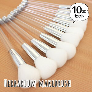 y݌ɏSALE ؂z n[oE CNuV `[NuV 10{Zbg Vo[ nhCh [NVbv CN c[ IC p[ i t  NA  