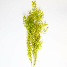 楽天市場 プリザーブドフラワー ブーケ 手作りの通販