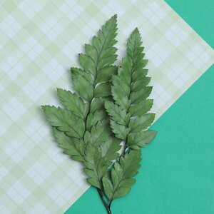  ԍ U[t@[ O[ t A W  CeA f [X XbO  t Be  ANZT[ L[z_[ nhCh ޗ Ntg 