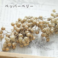 【半額！楽天スーパーSALE】 【小分け】ドライフラワー 花材 ペッパーベリー アイボリーゴールド 封入素…