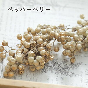 yzhCt[ ԍ ybp[x[ AC{[S[h f ԍ  hCt[ W | nhCh Ntg