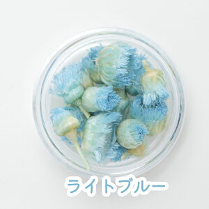 y10zW hCt[ P[X Iׂ 7F WW_ W  f  ޗ nhCh L[z_[ ANZT[ {̂ Ntg  @ H  ԍ 