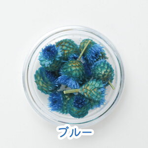 y10zW hCt[ P[X Iׂ 7F WW_ W  f  ޗ nhCh L[z_[ ANZT[ {̂ Ntg  @ H  ԍ 