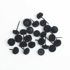 yyVX[p[SALEz A}[m hCt[ 20 P[X Iׂ 8F W  f  ޗ nhCh L[z_[ ANZT[ {̂ Ntg  @ H 