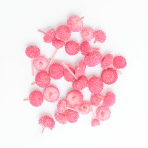 A}[m hCt[ 20 P[X Iׂ 8F W  f  ޗ nhCh L[z_[ ANZT[ {̂ Ntg  @ H  ԍ 