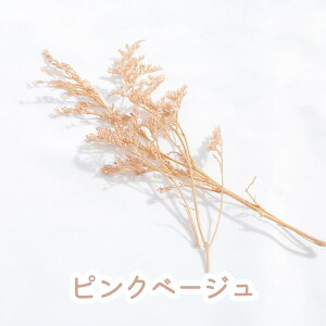  hCt[ ԍ u JXsA v Wf  X^[`X WANZT[ n[oE@A}TVF Bef |Cg  n_