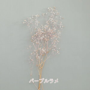 yyVX[p[SALEz  hCt[ ݑ \tg~jJX~@ @6F@vU[uht[@t[AWg@n[oE@ԍށ@[X@t[G