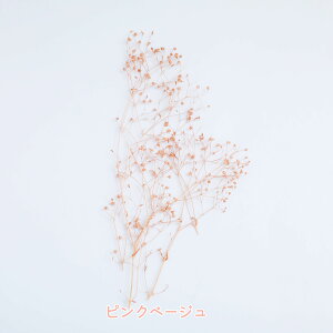  hCt[ \tgJX~ vU[uht[ ԍ nhCh W n[oE TVF W ANZT[ ޗ Y ݑ hCt[