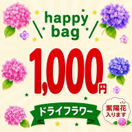 【楽天スーパーSALE限定】HAPPY BAG 福袋 1000円ぽっきり ドライフラワー 紫陽花入り 花材セット ランダ…