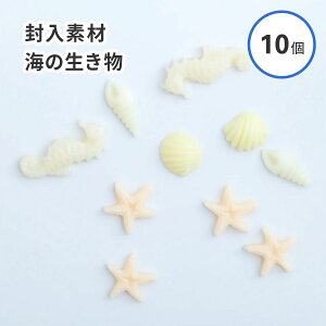 yW ށzqgf L ^cmIgVS C̐ pXe A\[g~bNX f fR[V C  r[` W f Ntg VJVJ VFCJ[ WN