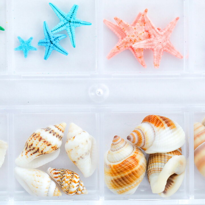 楽天市場】【レジン 封入素材】海 ミックス ヒトデ カラフル シェル 