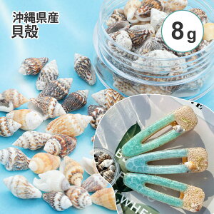 ꌧY Lk ~bNX 8g VRf P[X  p[c C Rf Y nhChޗ Ci Ch 