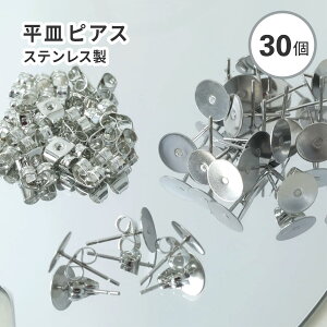 y30zXeX MsAX 8mm ăANZT[ ɂ sAXp[c sAX M XeX  ăCxg ̔  Vo[ N[ ANZT[  y | n