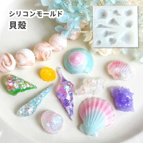 楽天市場】シェル 貝殻の通販