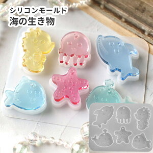 yC̐ [hzqgf 炰 VR[h CJ  ʂt 6 C  WNtgVR^    L[z_[p[c W nhCh  