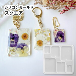 VR[h VR^ lp` ` 3TCY XNGA VR[h ` ^O L[z_[ v[g VR^ W WNtg Vv l[^O l[v[