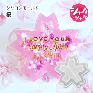 y [hz VR[h VJVJ VFCJ[ TN  { t `[t w  nhChL[z_[ W^ L[z_[ p[c |  JVJV