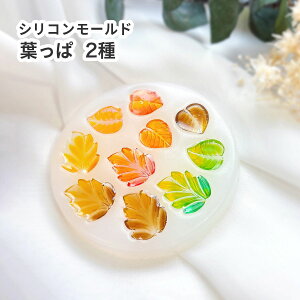 シリコンモールド 葉っぱ リーフ レジン型 レジン用 紅葉 観葉植物 2種 資材 キーホルダー アクセサリー モールド レジン型 シリコン型 レジンクラフト 型 樹脂粘土 粘土型 キーホルダー ハ
