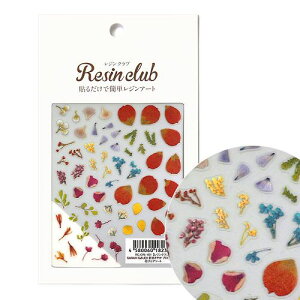 WV[ ԂтA\[g1ʁ t  A\[g Jt CXg  XebJ[ ANZT[ nhCh ޗ WNtg { i WNu