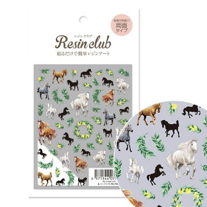 WV[ nƌj ʃ^Cv t [X VGbg CXg  XebJ[ ANZT[ nhCh ޗ WNtg { i WNu