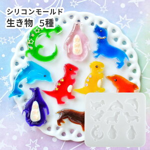 y [hz~j VR[h  CJ yM Ck gJQ W UVW ~j fR WNtg Ntg nhCh ANZT[ 傤イ 邩  