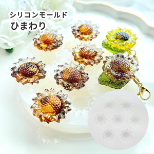 VR[h t[ Ђ܂  7 fRp[c \t Wp W^ UVW VR^ ^g   A  L[z_[ `[